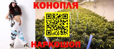 скорость Вышний Волочёк