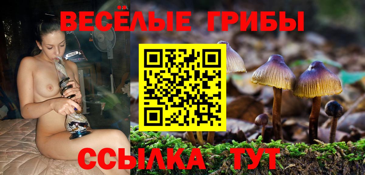 Псилоцибиновые грибы GOLDEN TEACHER  Вход с VPN  Белово 